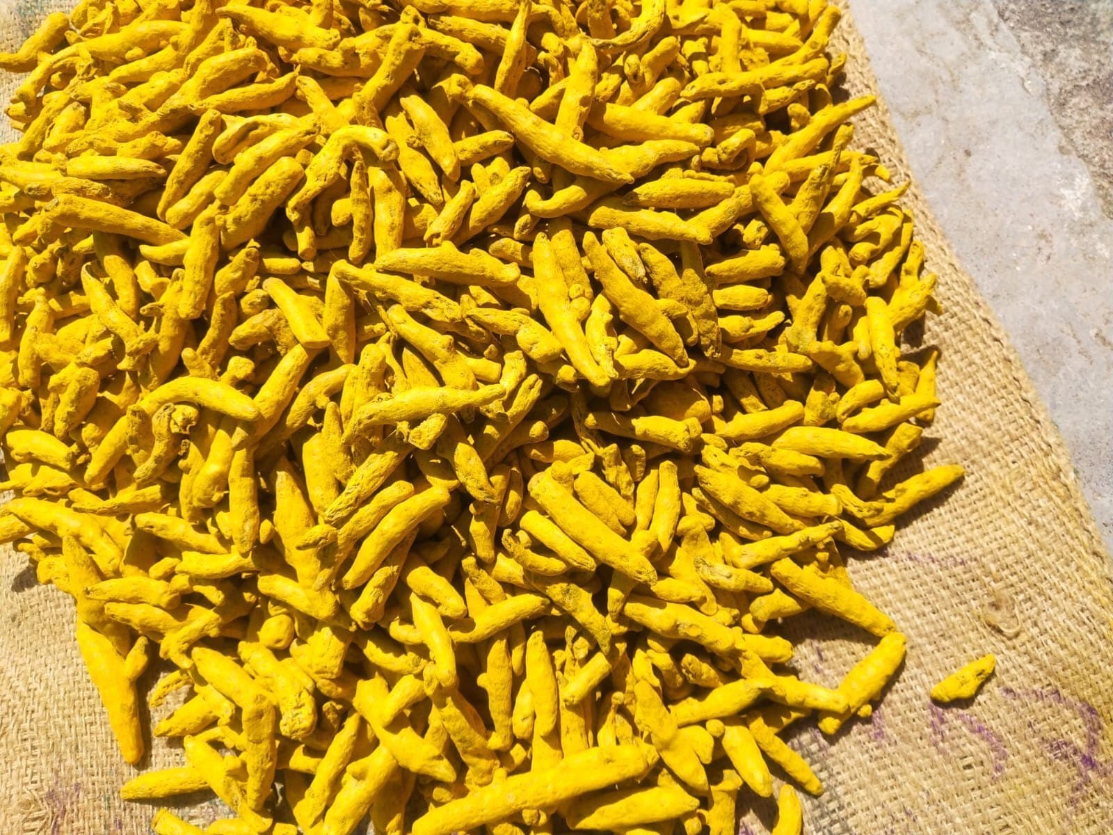 Nizamabad Turmeric Fingers